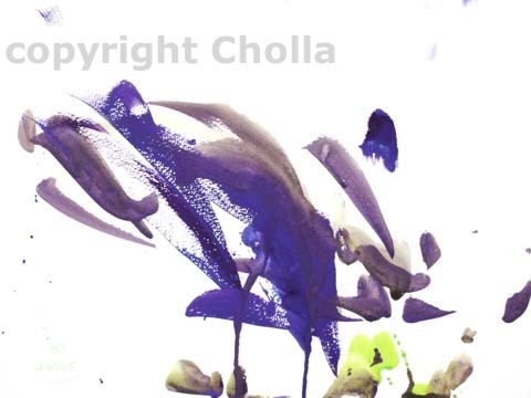 Dolphin Pod