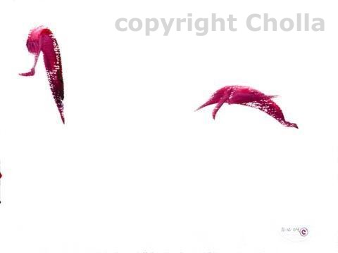 Flying Dolphins