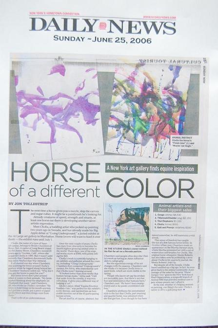 Cholla - The Artist Is A Horse