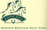 Giddyap Girls Logo
