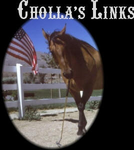 Cholla